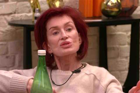 Sharon Osbourne reignites feud with Dannii Minogue on Celebrity Big Brother