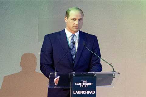 Prince William's Commanding Speech on the Environment Amid Health Concerns