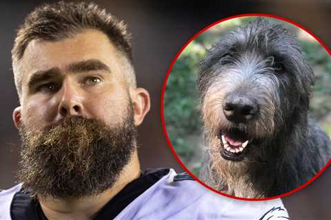 Jason Kelce's Beloved Dog, Winnie, Dies