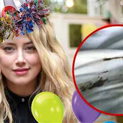 Amber Heard Celebrates 38th Birthday on 8-Year Poop Anniversary with Johnny