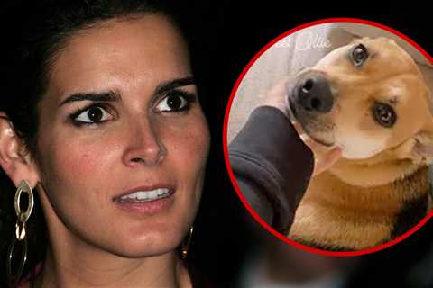 Angie Harmon Dog Killing a Mystery, Cops Won't Talk