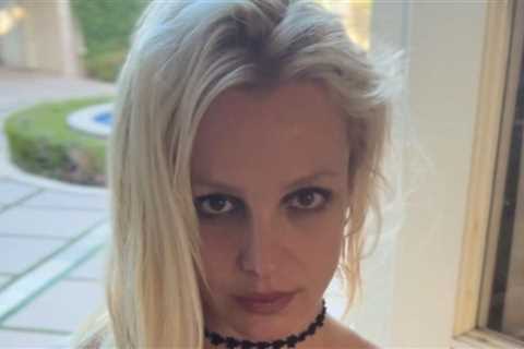 Britney Spears is 'Completely Dysfunctional' and In Danger of Going Broke