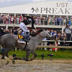 Seize the Grey wins 149th Preakness Stakes to end 2024 Triple Crown hopes
