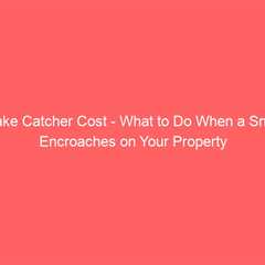 Snake Catcher Cost – What to Do When a Snake Encroaches on Your Property