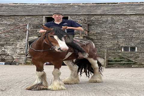 Reuben Owen: Life in the Dales – Fans Demand to See Dad Clive