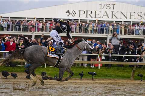 Seize the Grey wins 149th Preakness Stakes to end 2024 Triple Crown hopes