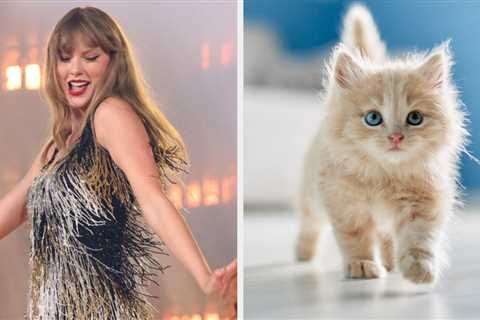 Choose Some Pets And I'll Tell You What Taylor Swift Era You're In