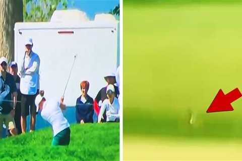 Golfer Kills Bird With Approach Shot At U.S. Women's Open