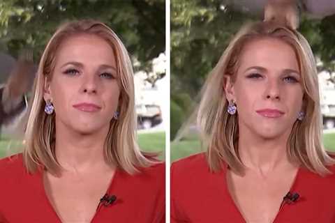 Bold Bird Lands on Reporter's Head Just Before Live Shot Outside White House