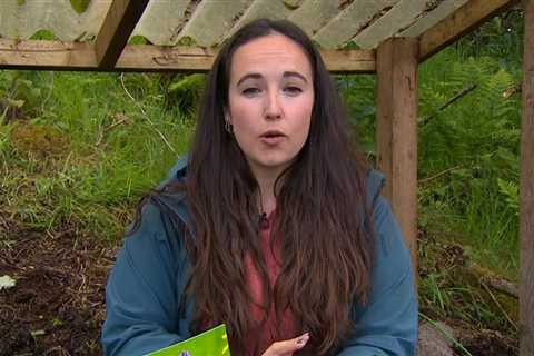 Springwatch’s Megan McCubbin addresses criticism over ‘inappropriate’ comments on BBC program