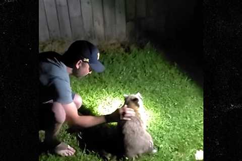 Choking Raccoon Saved By Michigan Man, Heroic Act Caught on Video