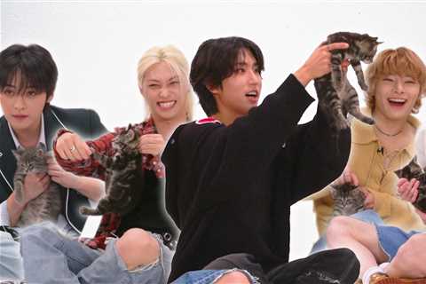 Stray Kids Played With Kittens, And I've Never Been More Jealous Of A Cat