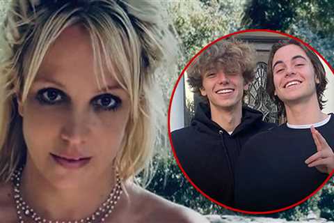 Britney Spears's Sons Have Not Reconciled with Her, Despite Reports to Contrary