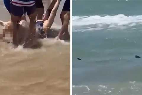 Shark Attack At South Padre Island, Gnarly 'Jaws'-Like Rescue Video