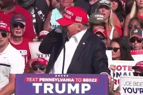 Donald Trump Shot and Injured at Pennsylvania Rally