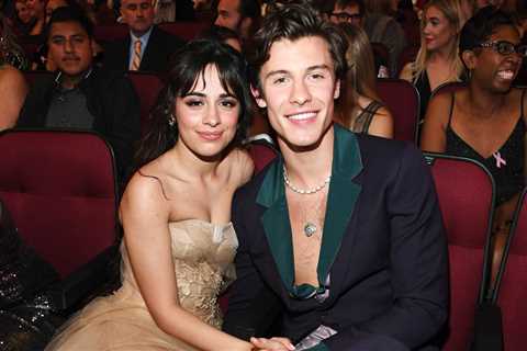 Camila Cabello & Shawn Mendes Spotted Together at Copa América Final