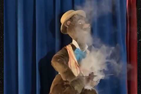 Animatronic Bear in Country Jamboree Show Starts Smoking at Disney World