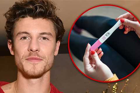 Shawn Mendes Sings About Pregnancy Scare in New Song