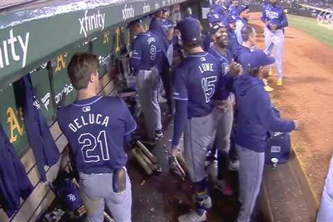 Tempers flare in Rays’ dugout as stars have to be separated