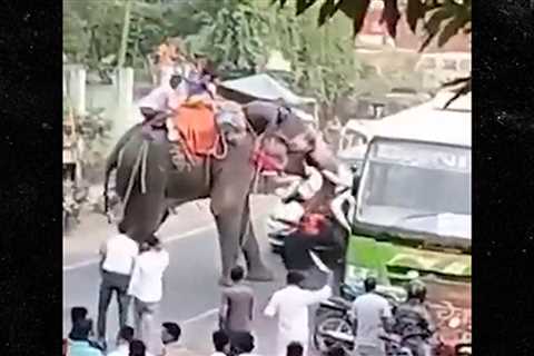 Indian Elephant Goes on Rampage, Battering Car and Bus on Video