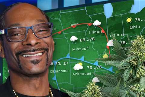 Snoop Dogg Gives Marijuana-Inspired Weather Report on 'TODAY'