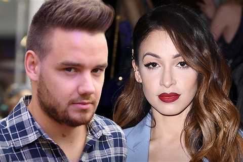 Liam Payne's Ex Danielle Peazer Reveals the Last Message He Sent to Her