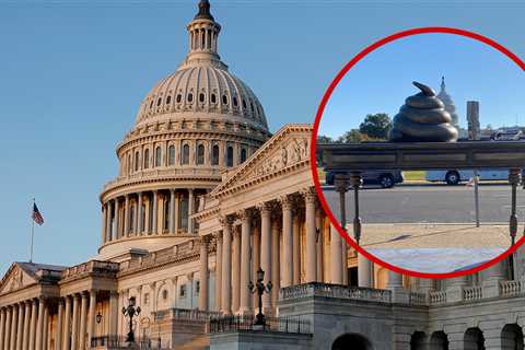 Bronze Turd Monument Pops Up on Capitol Hill to Honor Jan. 6 Riot