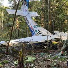 Survival Story of Children in Amazon Plane Crash