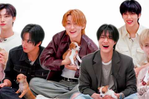 NCT DREAM Played With Puppies While Answering Questions, And All My Dreams Came True