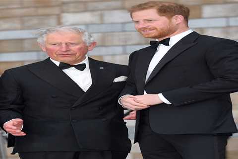 Prince Harry's public presence could be hindering reunion with family, says royal expert