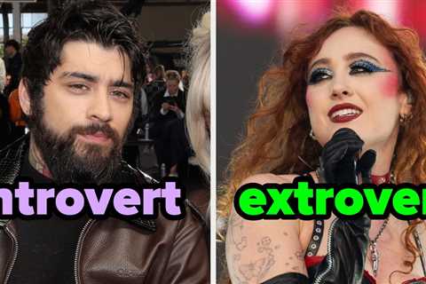 Choose Between These Singers And I'll Guess If You're More Introverted Or Extroverted