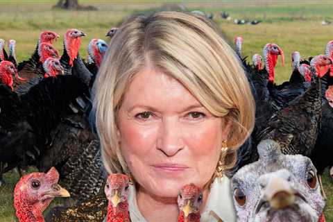 Martha Stewart Pardons Her Homegrown Turkeys Ahead of Thanksgiving