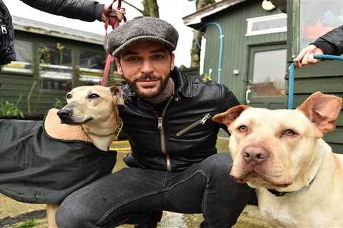 Strictly’s Pete Wicks to Take on Alison Hammond in New Show