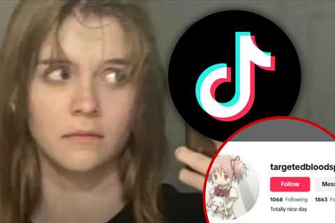 Wisconsin School Shooter's TikTok Account Deleted After ADL Complaints