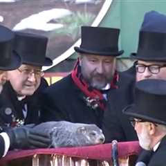 Punxsutawney Phil Predicts 6 More Weeks of Winter