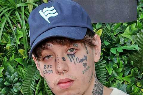 Lil Xan Charged With 2 Felonies for Throwing Mic, Kicking Fan in Face