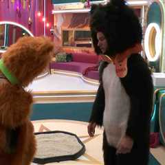 Public Outrage Over Celebrity Big Brother Cat Tray Incident Sparks Regulatory Concerns