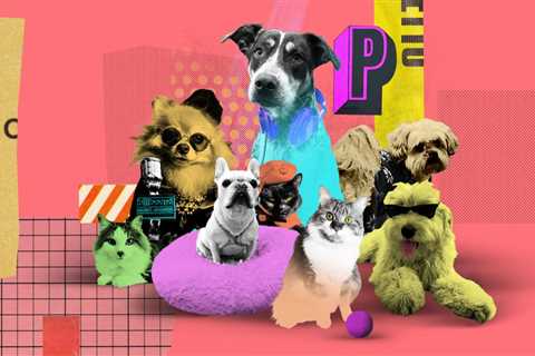 From a Cat Who Hates Music to a Dog Named After a Rock Star, Meet the Pets of Billboard Staff