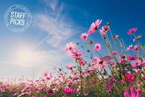 15 Best Songs About Spring Showers, Flowers & Everything in Between: Staff Picks