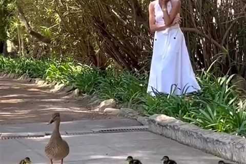 Duchess of Sussex's Montecito Easter Surprise: Meghan's Adorable Duck Encounter