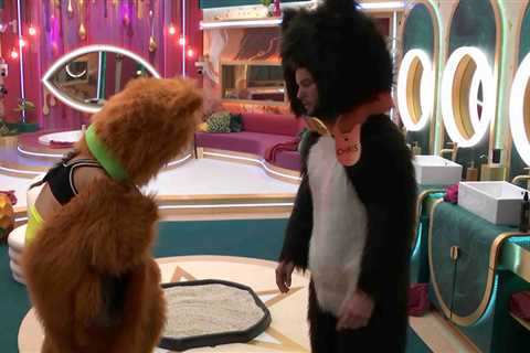 Public Outrage Over Celebrity Big Brother Cat Tray Incident Sparks Regulatory Concerns