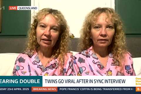 Mirror Image Minds: The Enigmatic Harmony of The Twinnies