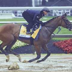 2025 Black-Eyed Susan odds, preview, picks, and best bets