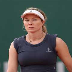 Danielle Collins details viral cameraman incident: ‘So much people don’t see’