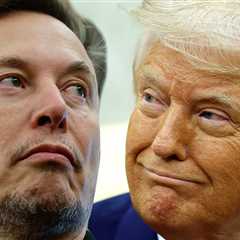 Elon Musk Says He's Leaving Trump Administration