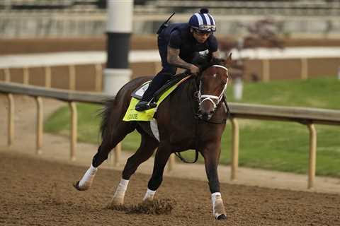 Mike Repole’s horse Grande scratched from Kentucky Derby as field dwindles