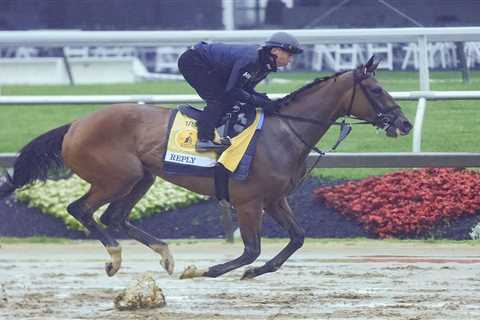 2025 Black-Eyed Susan odds, preview, picks, and best bets