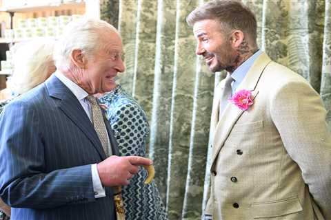 Reimagining BBC Programming: Chelsea Flower Show Displaces BBC2 Hits
