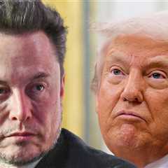Elon Musk Says Donald Trump Would've Lost Election Without Him
