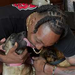 Dwight Howard's Dog Killed After Alleged Hit-and-Run, Asks Fans For Help